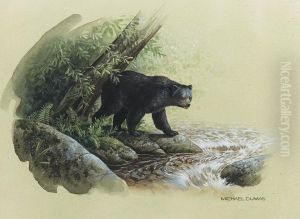Algonquin Black by Michel Dumas