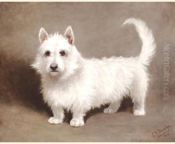 A Westie - view 1