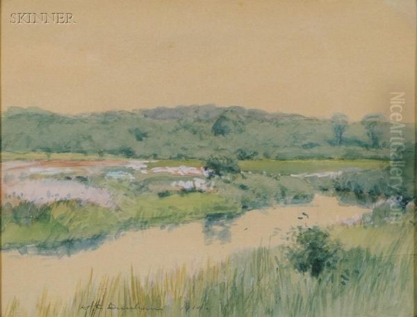 Marsh View - view 1