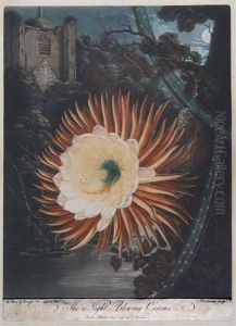 The Night-blowing Cereus by Robert John Dunkarton
