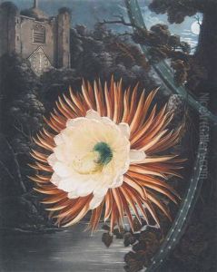 The Night - Blowing Cereus by Robert John Dunkarton