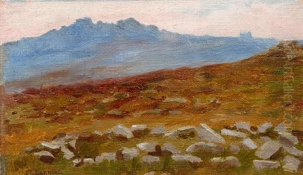 Hut Circles, Great Miston - view 1