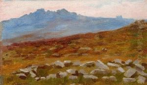 Hut Circles, Great Miston