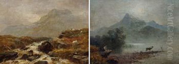 Mountain
Torrent - view 1