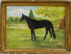 Portrait Of A Horse In Profile by Wilbur Leighton Duntley