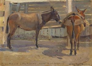 Pack Mules, Mexico