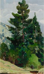 Forest Landscape