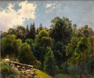 Sommertag - Blick In Einen Mischwald by Johannes-Bertholomaus Dutntze