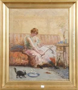 Dresseuse De Chats Dresseuse De Chats