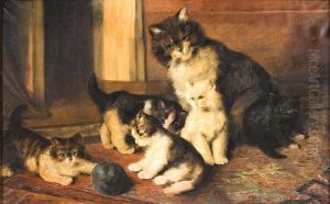 Chat Et Sa Progeniturejouant Chat Et Sa Progeniturejouant