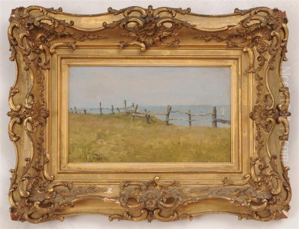 Fence By The Sea - view 1