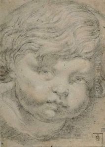 Kopf Eines Puttos. by Francois Duquesnoy