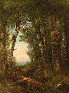 View Through The Woods by Asher Brown Durand