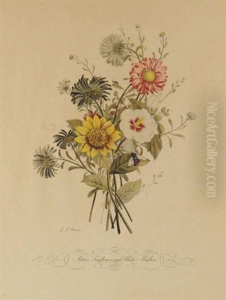 Two Floral Botanical Prints - view 1
