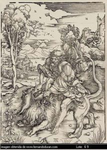 Sin Titulo by Durer or Duerer, Albrecht