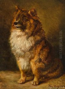 A Pomeranian