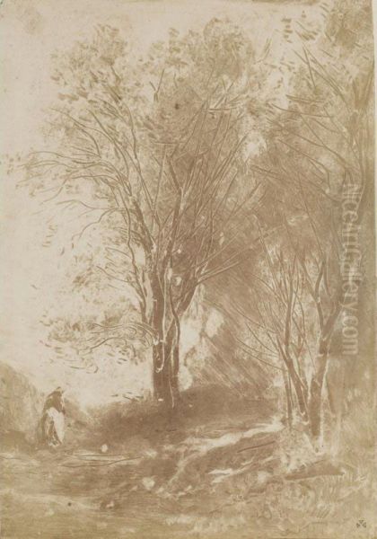 Paysages - view 1