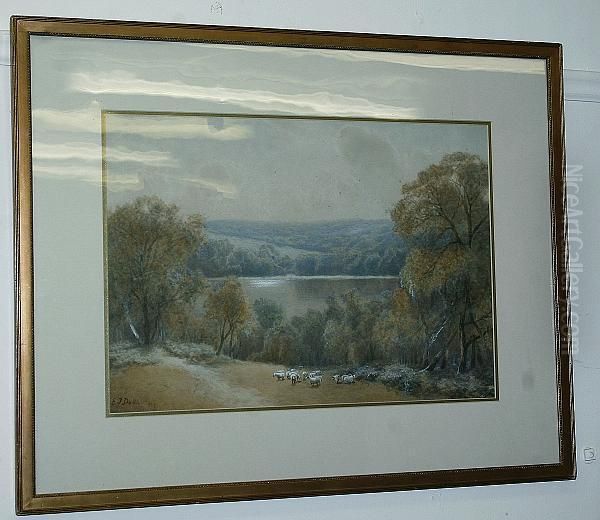 A Country Landscape With Sheep And A Lake In The Background - view 1