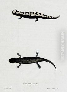 Nine Works Lizards Nine Works Lizards