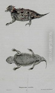Three Works Horned Toads