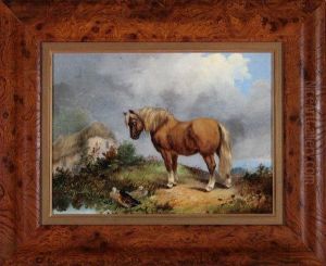 A Pony And Ducks By A Pond