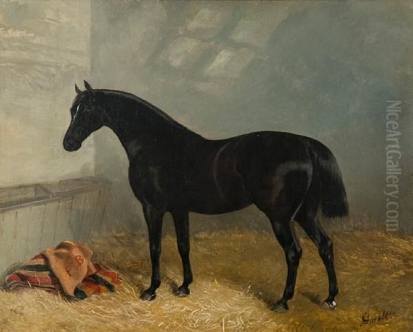 'elmsdale' In A Stable - view 1