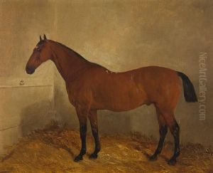Bay Horse In A Stable