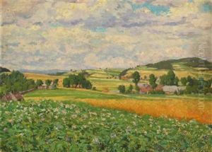 Sommerlandschaft