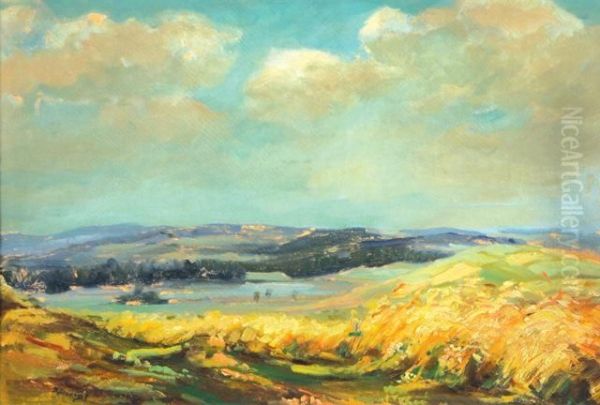 Jizni Krajina - view 1