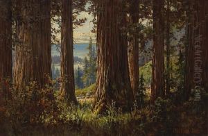 View Through The Trees by Clarkson Dye