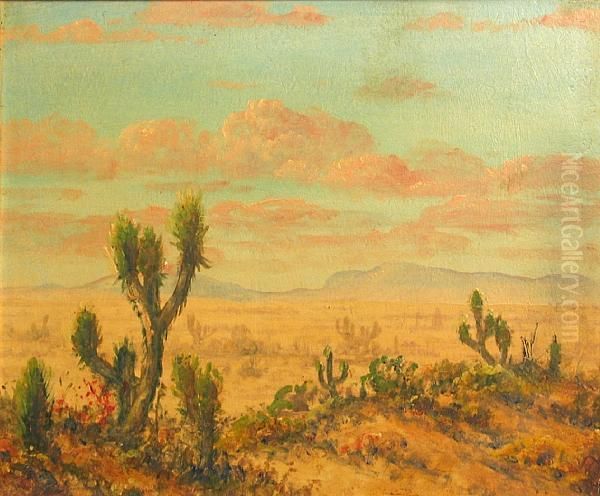 Desert View - view 1