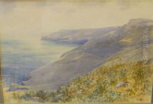 'view Of Saintalbans Head From The Top Of The Cliffs' by William Henry Dyer