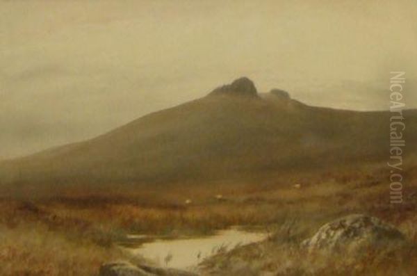 Inscribed Verso "hey Tor - view 1