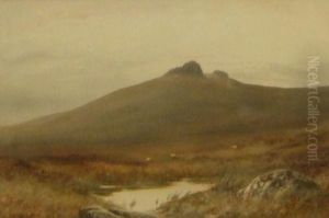 Inscribed Verso "hey Tor by William Henry Dyer