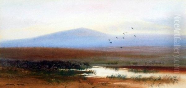 Two Landscape Views Depicting Dartmoor - view 1