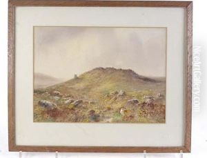 Creekston Tor, Dartmoor