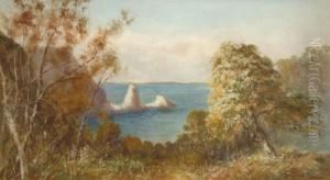 On Thetorquay Coast by William Henry Dyer