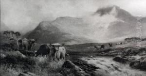 Highland Cattle by Douglas Earl Graham