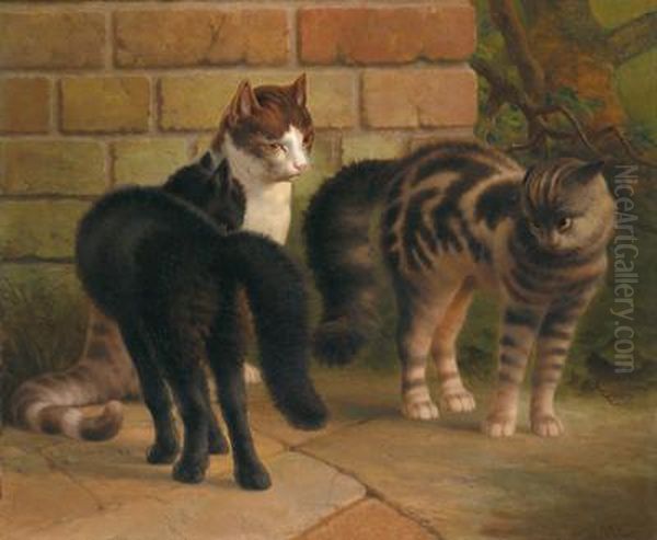 Katzen - view 1
