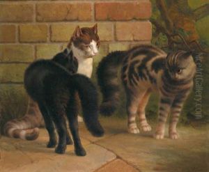 Katzen by Percy Earl
