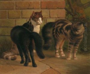 Gatti by Percy Earl