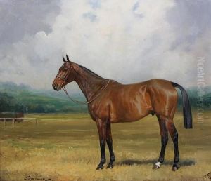A Light Bay Hunter - 'superman' by Percy Earl