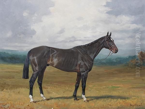 A Dark Bay Hunter - 'mythical' - view 1