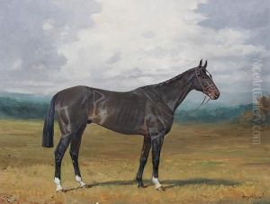 A Dark Bay Hunter - 'mythical' by Percy Earl