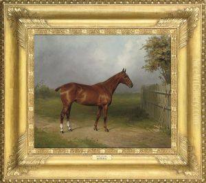 The Polo Pony 'red Letter', With Polo Sticks Leaning Against Afence by Percy Earl