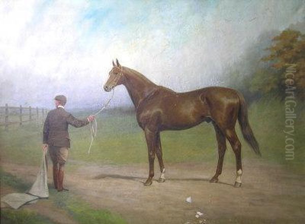 "cicero", Winner Of Ther Derby - view 1