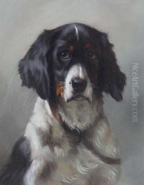 Portrait Of A Spaniel - view 1