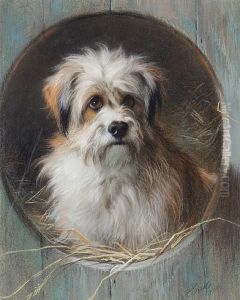 A Terrier Looking Out Of His Kennel