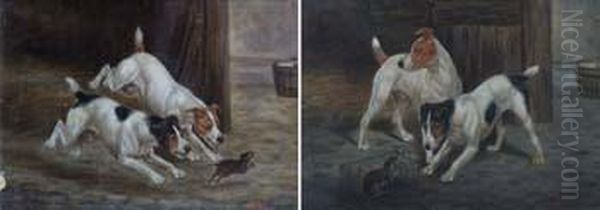 Terriers Ratting - view 1