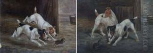 Terriers Ratting by G Earle
